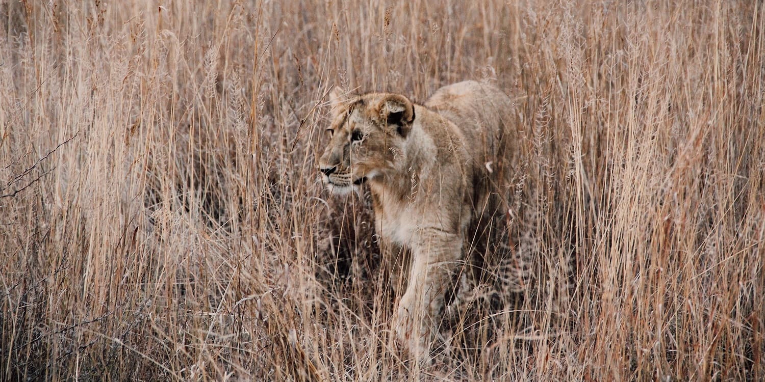 best photos of Kenya free to download