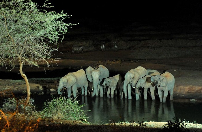 night safari in kenya