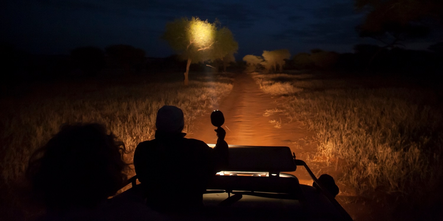 Night Gamedrives, Masai Mara Kenya